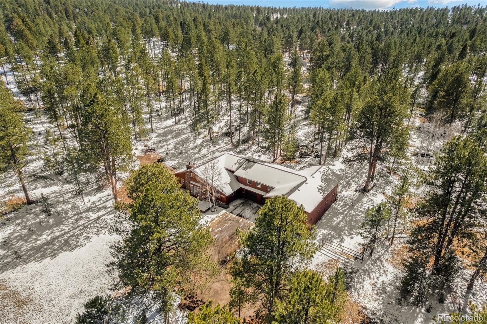 20202 Spring Creek Trail Pine CO 80470