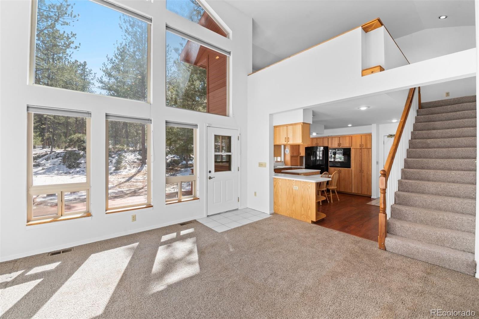 20202 Spring Creek Trail Pine CO 80470