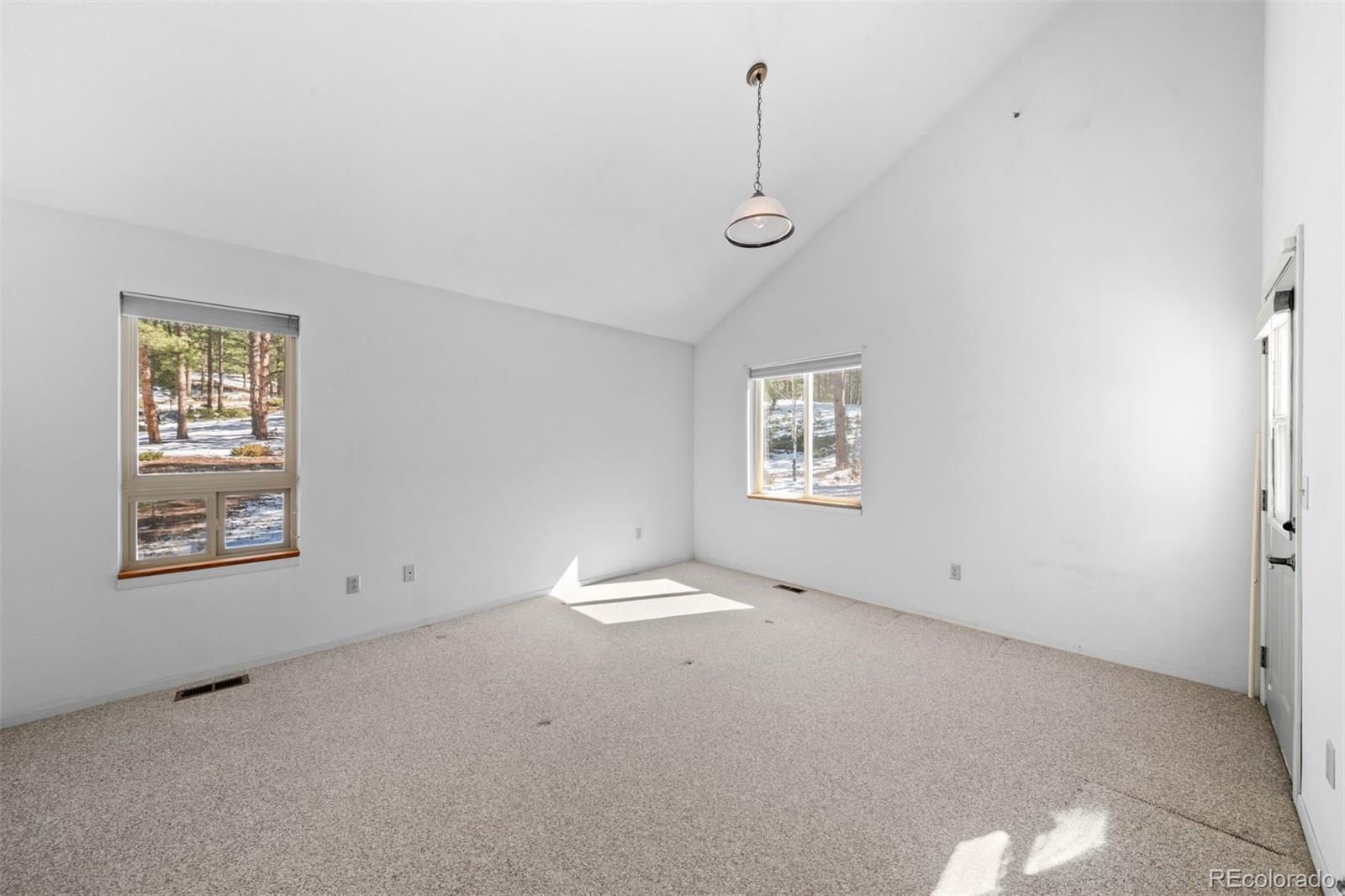 20202 Spring Creek Trail Pine CO 80470