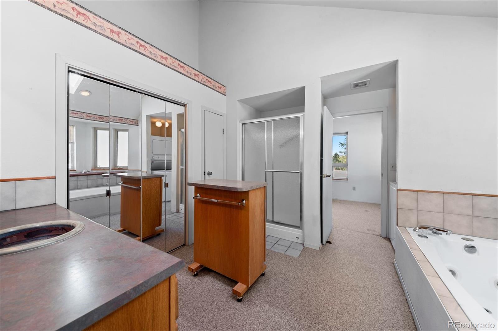 20202 Spring Creek Trail Pine CO 80470