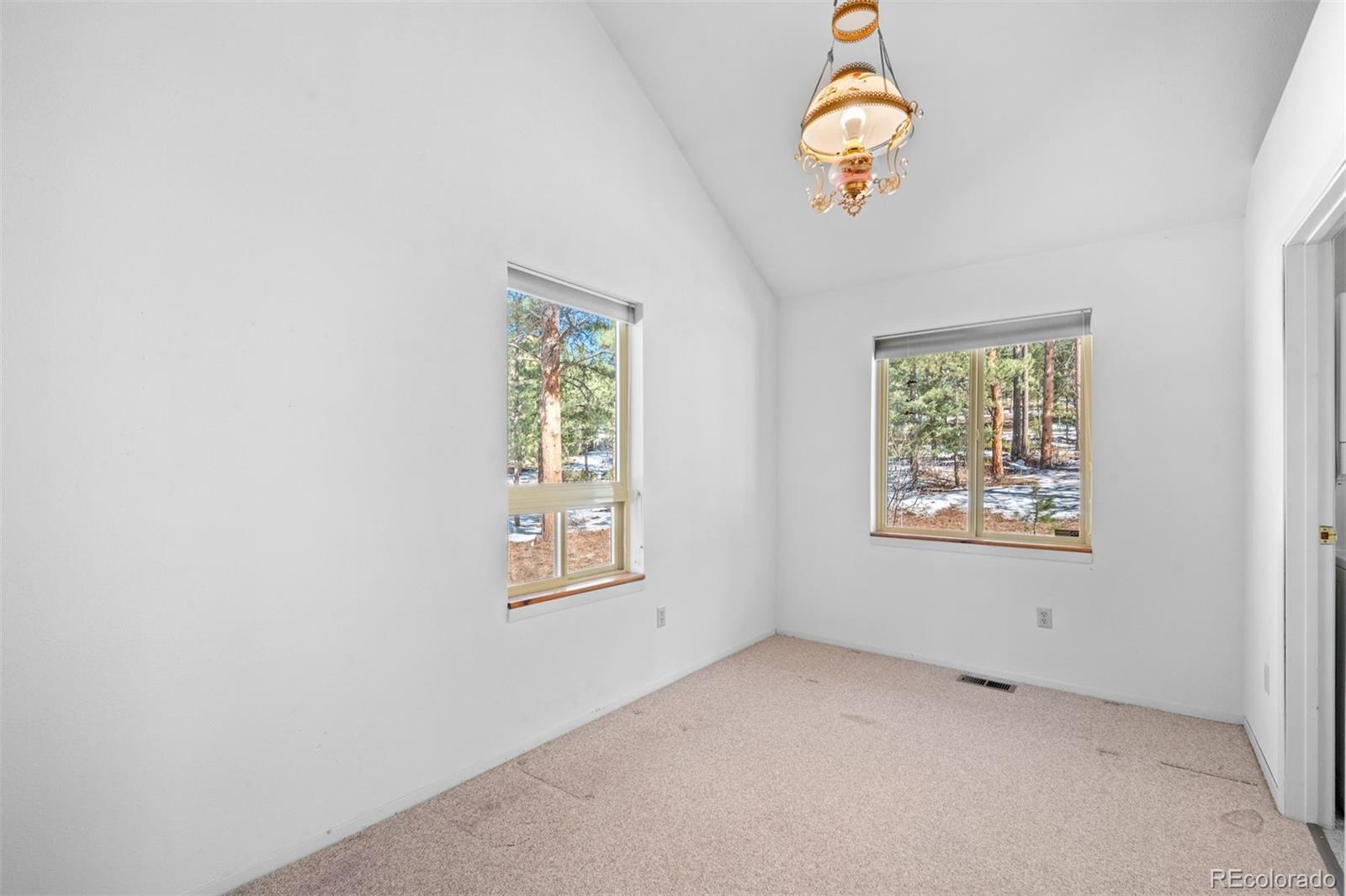20202 Spring Creek Trail Pine CO 80470