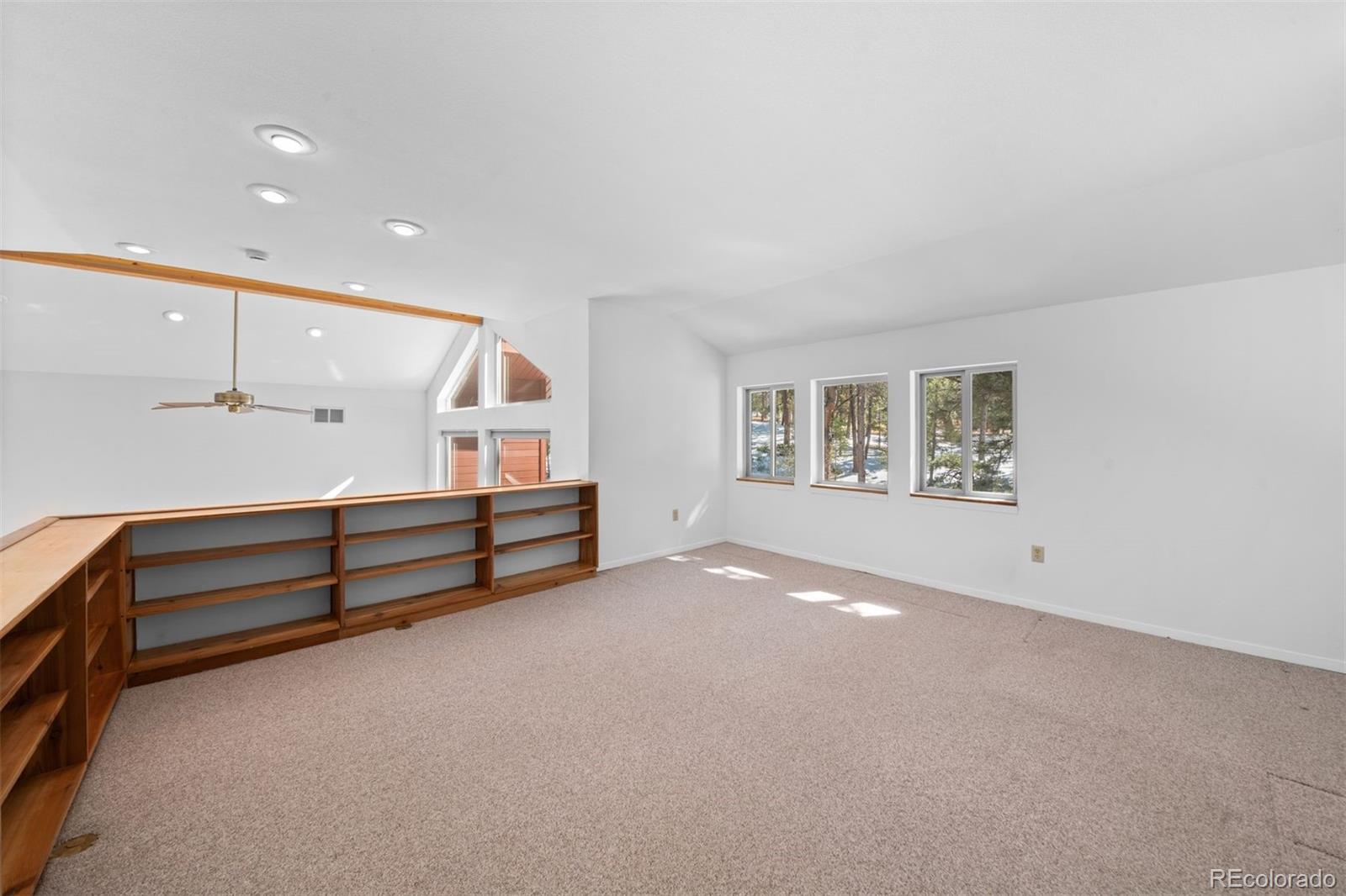 20202 Spring Creek Trail Pine CO 80470