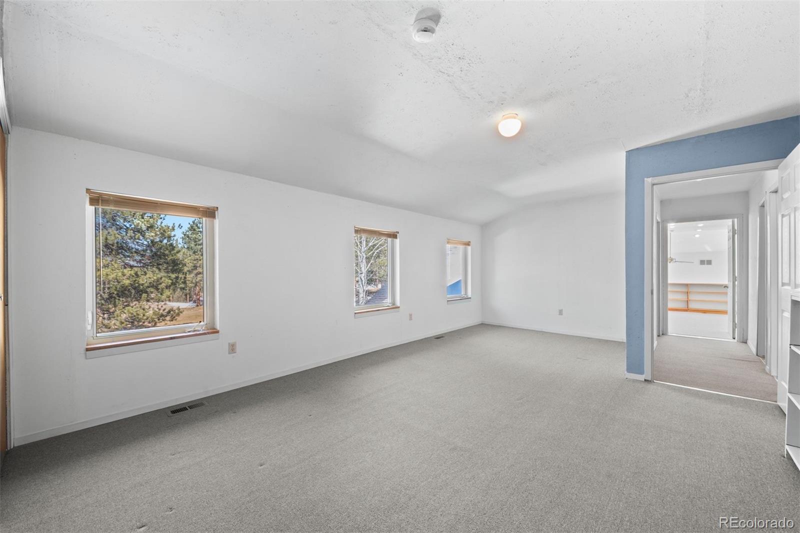 20202 Spring Creek Trail Pine CO 80470