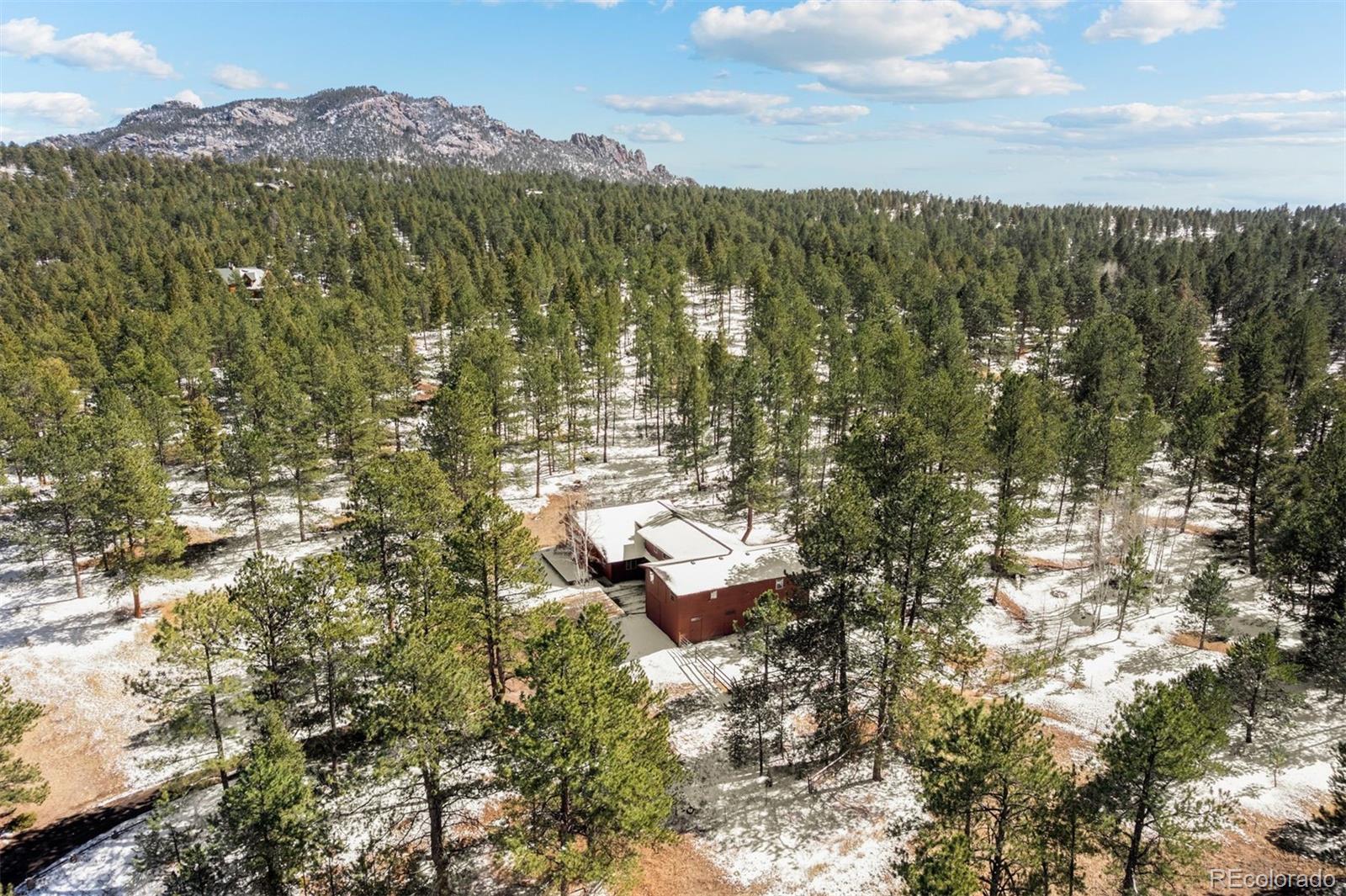 20202 Spring Creek Trail Pine CO 80470