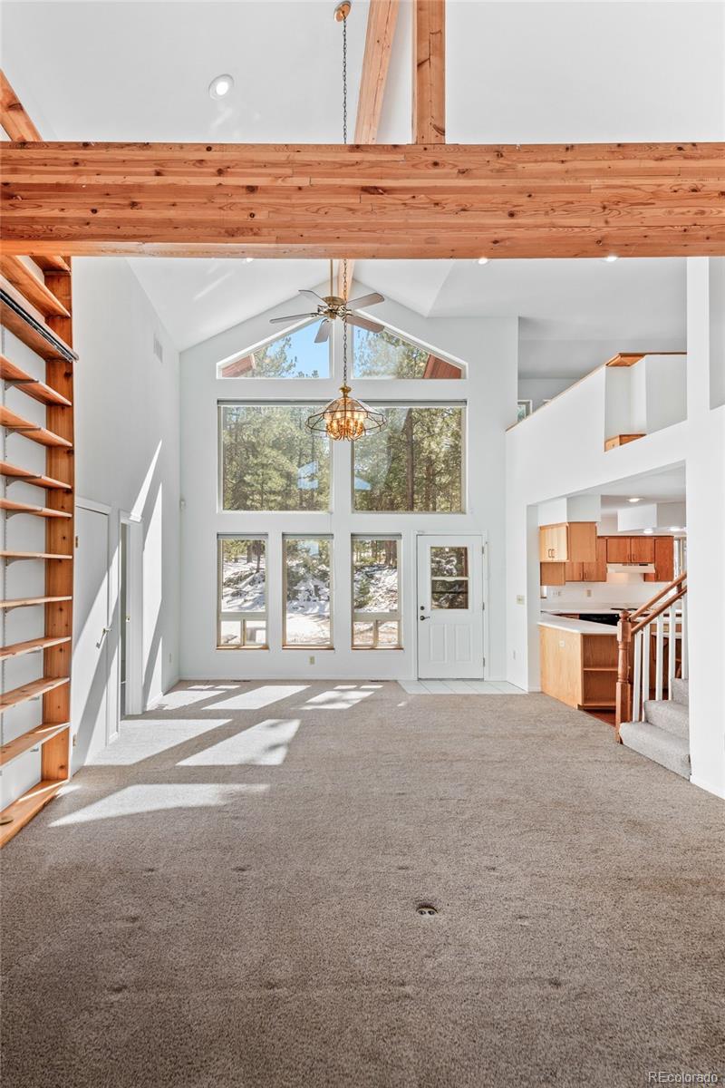 20202 Spring Creek Trail Pine CO 80470