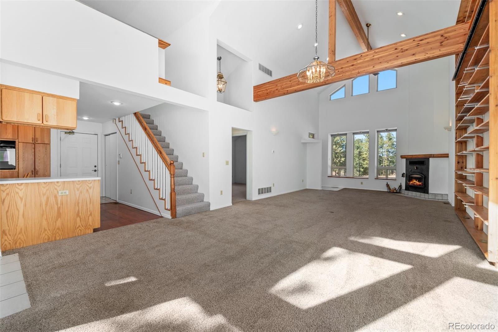 20202 Spring Creek Trail Pine CO 80470