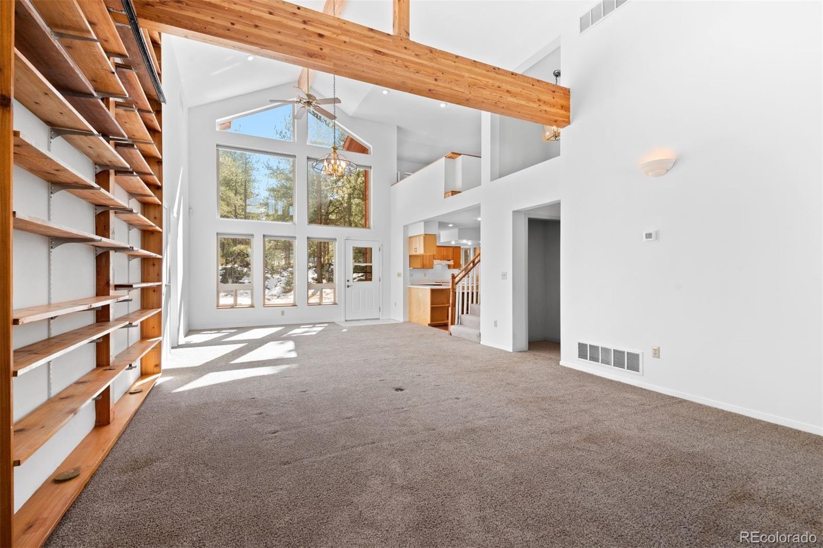20202 Spring Creek Trail Pine CO 80470