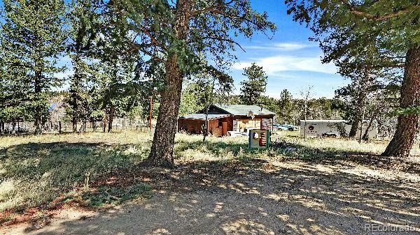 490 Quakie Way Bailey CO 80421