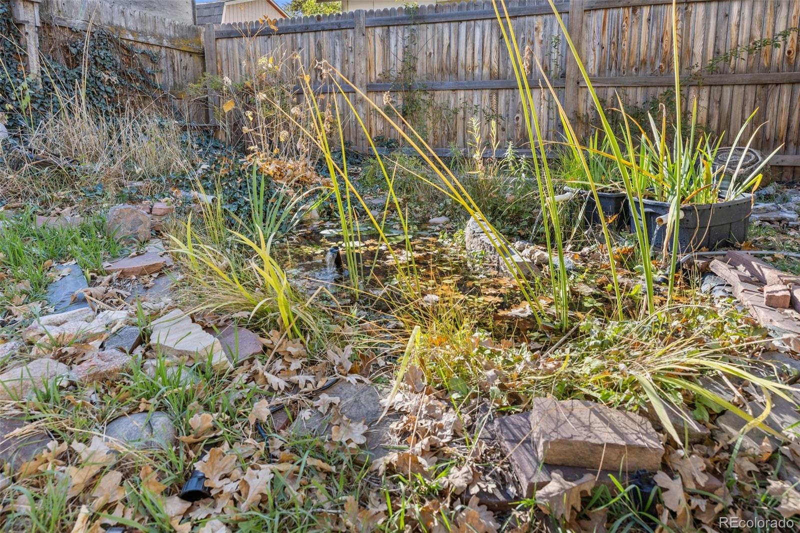 6910 Reno Drive Arvada CO 80002