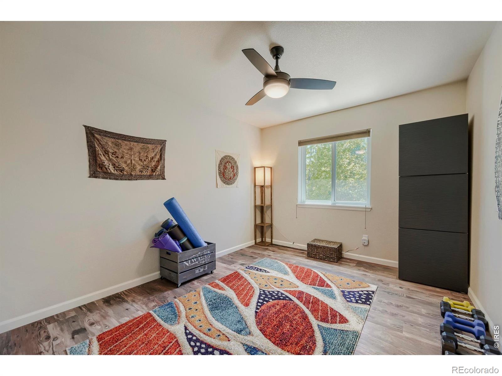 3921 Florentine Drive Longmont CO 80503
