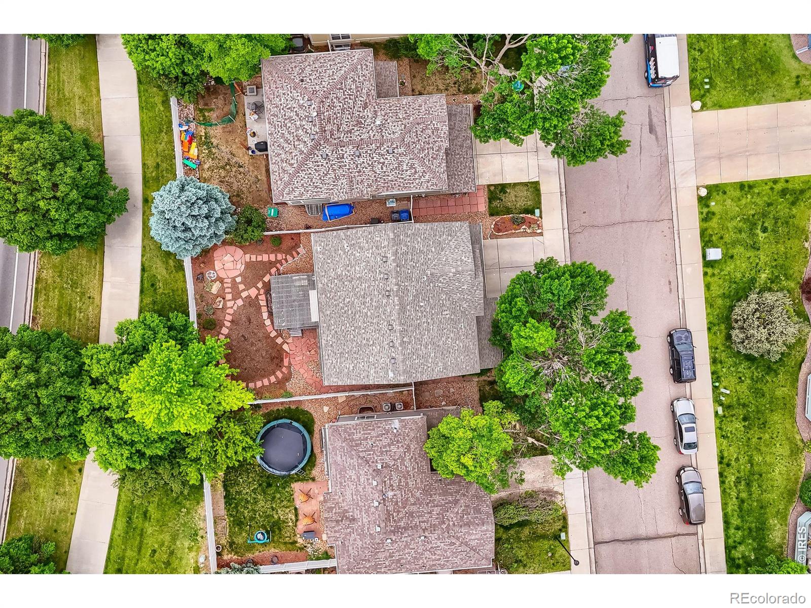 3921 Florentine Drive Longmont CO 80503