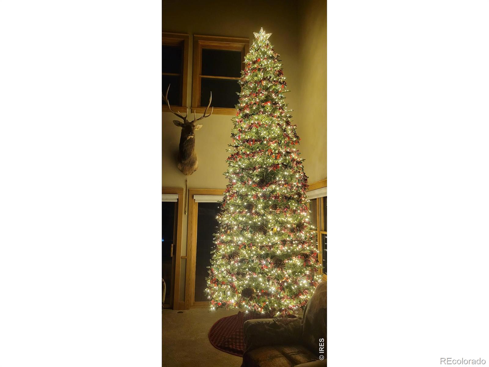 2619 Ridge Lane Estes Park CO 80517