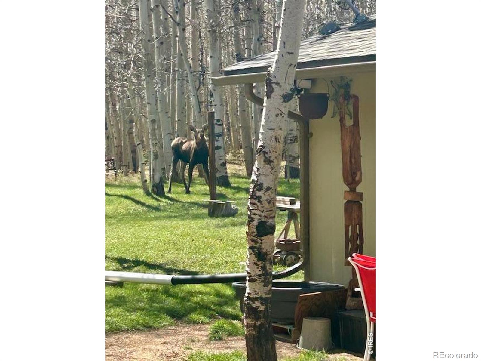 1746 Lump Gulch Road Black Hawk CO 80422