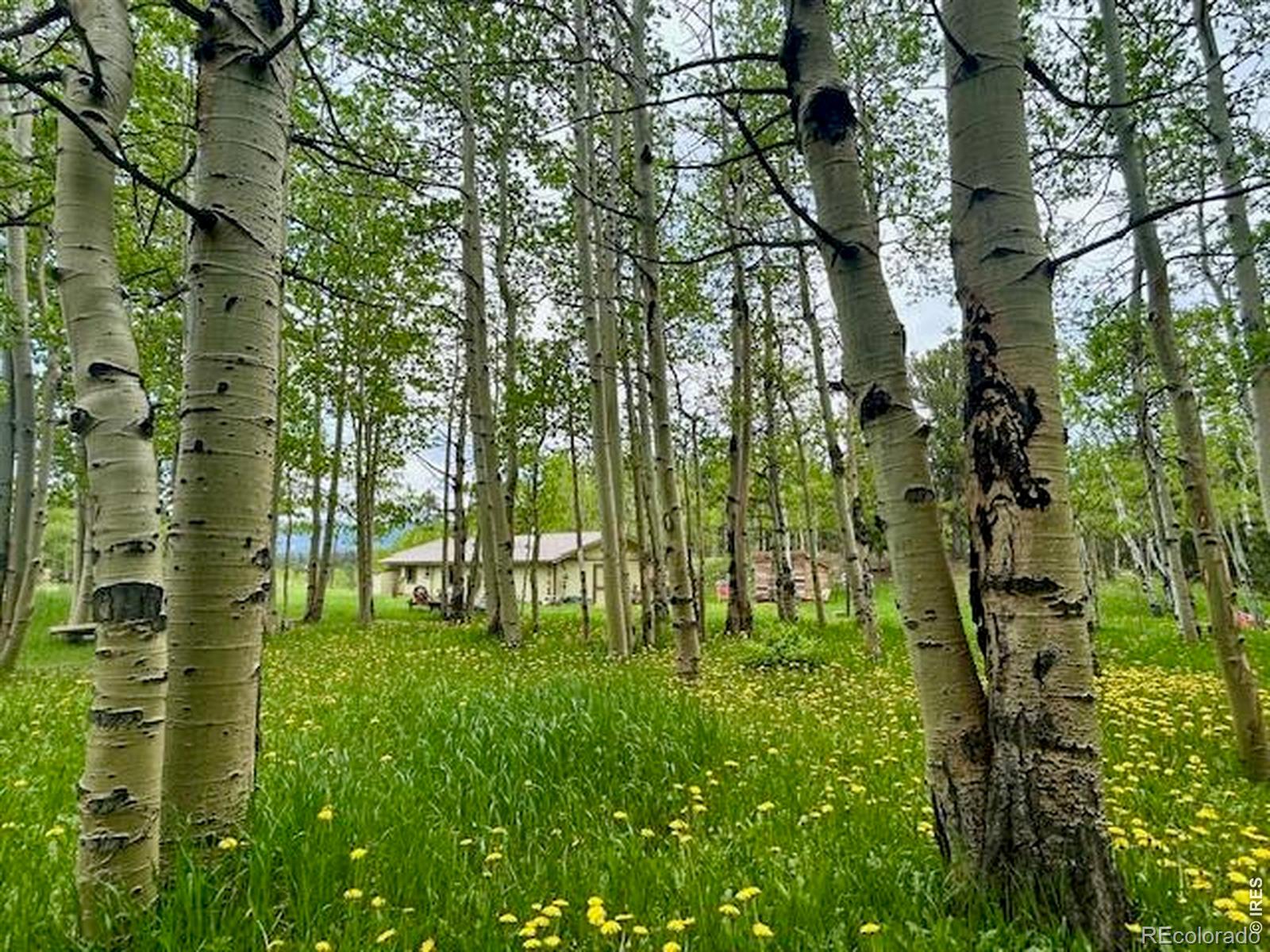 1746 Lump Gulch Road Black Hawk CO 80422