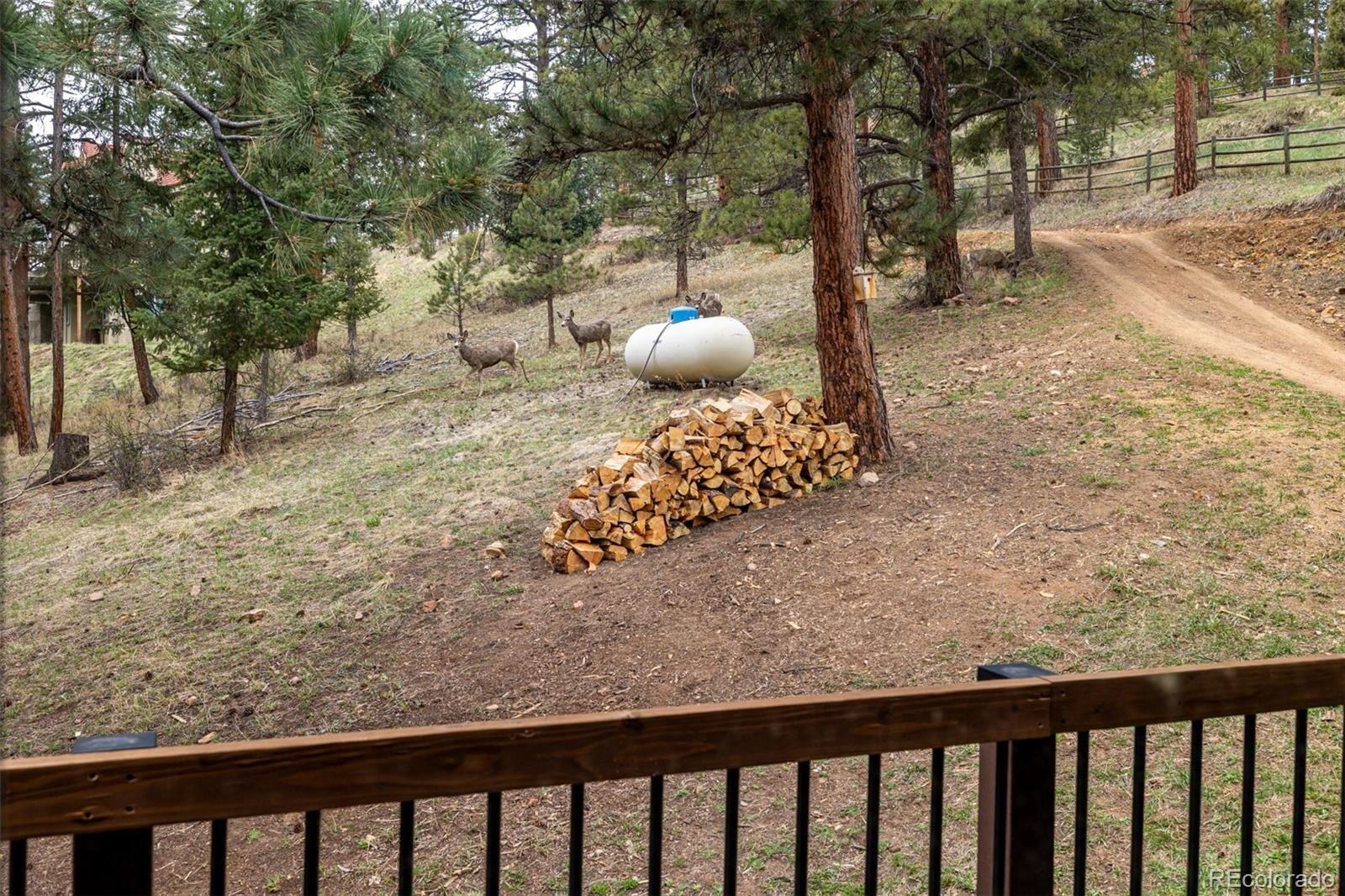 54 Zaza Lane Evergreen CO 80439
