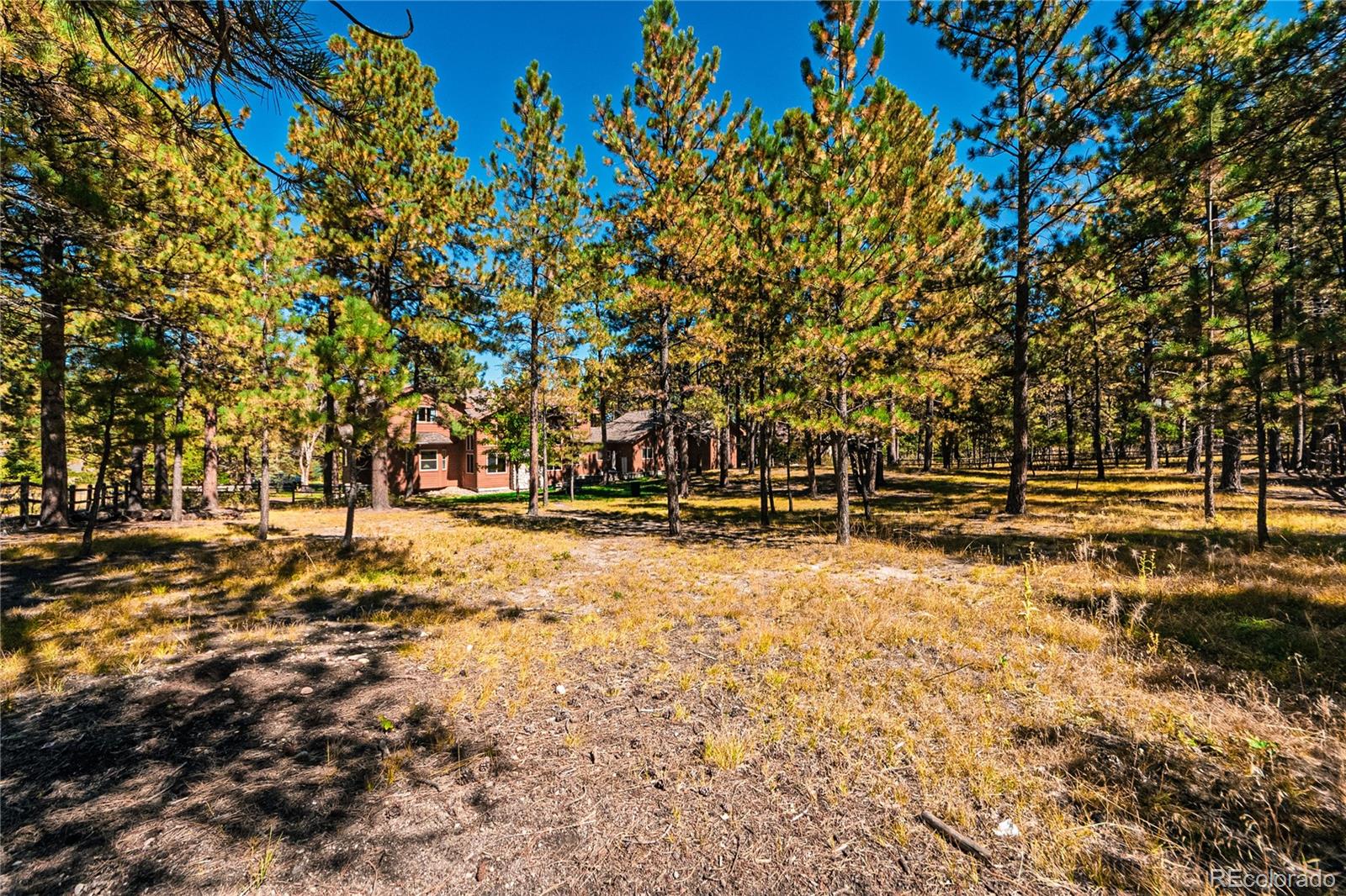 1210 Kenosha Drive Larkspur CO 80118