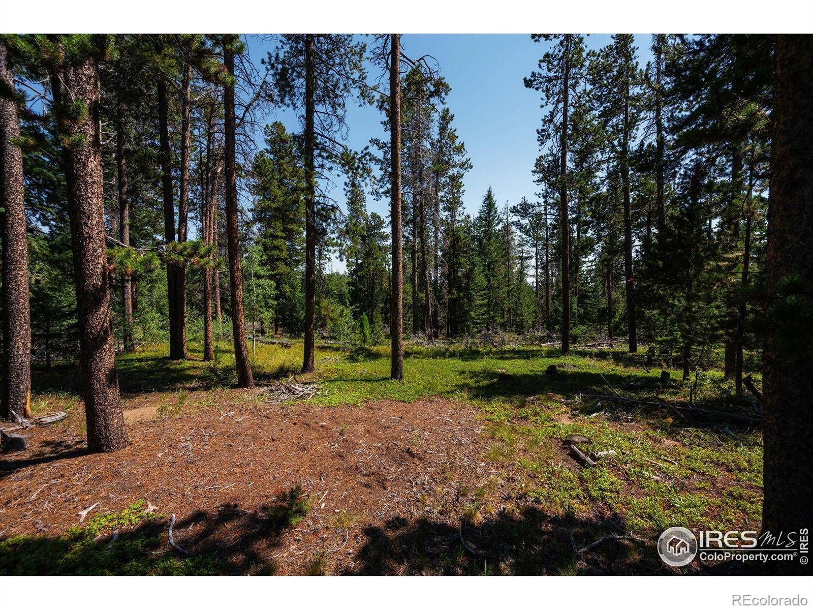 122 Elk Way Drake CO 80515