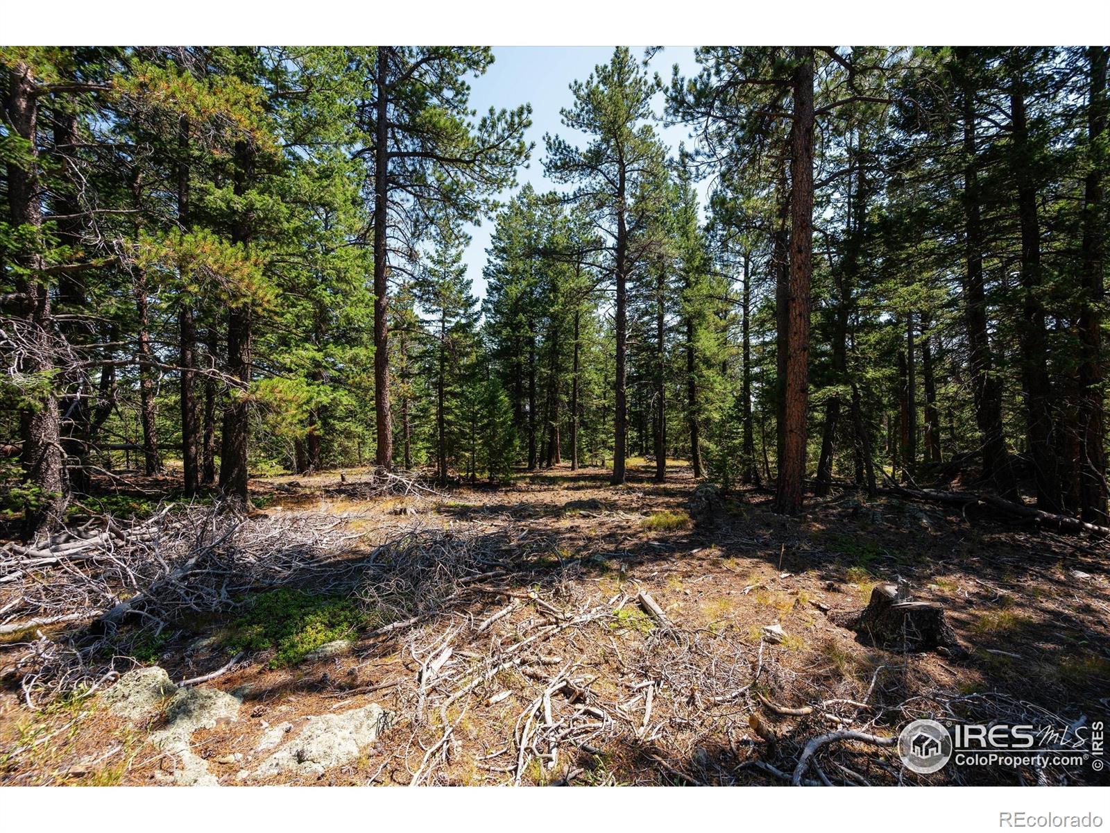 122 Elk Way Drake CO 80515