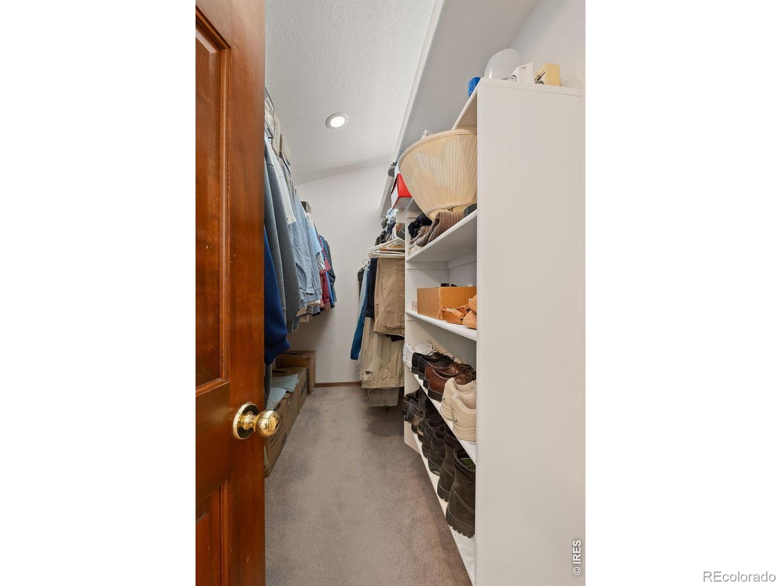 3617 Sunflower Circle Longmont CO 80503