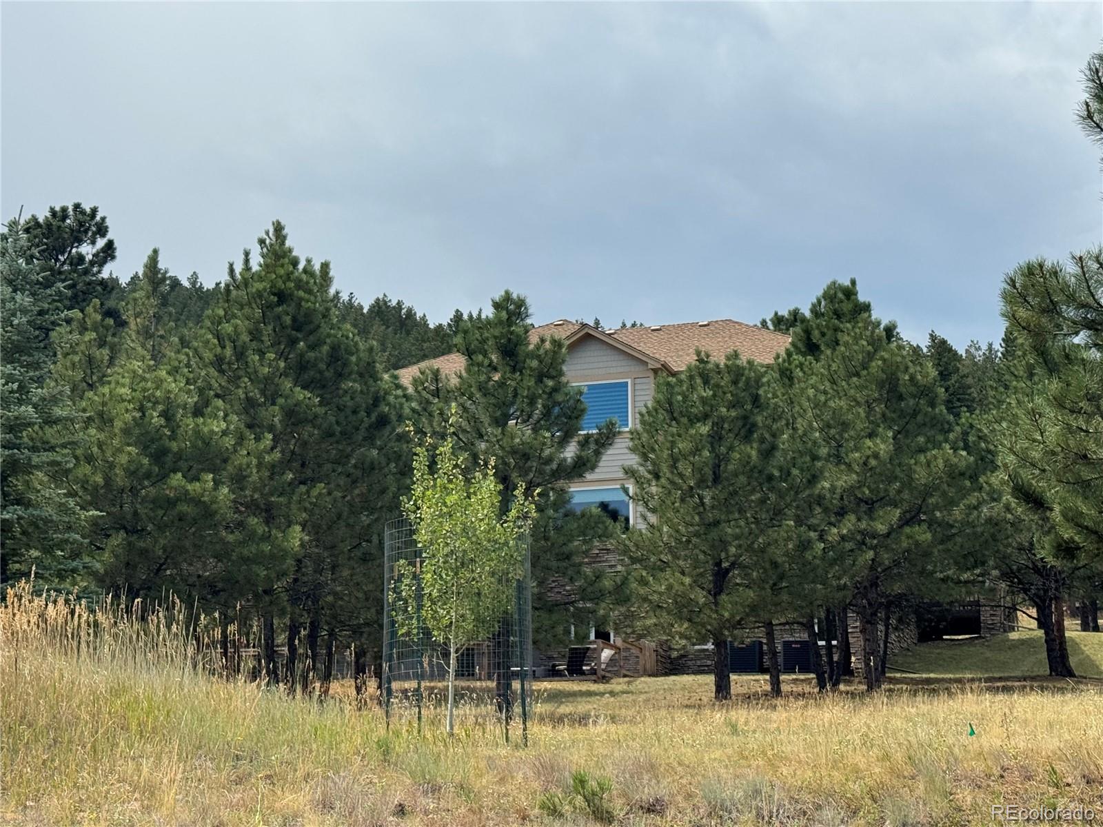 1366 Killington Court Evergreen CO 80439