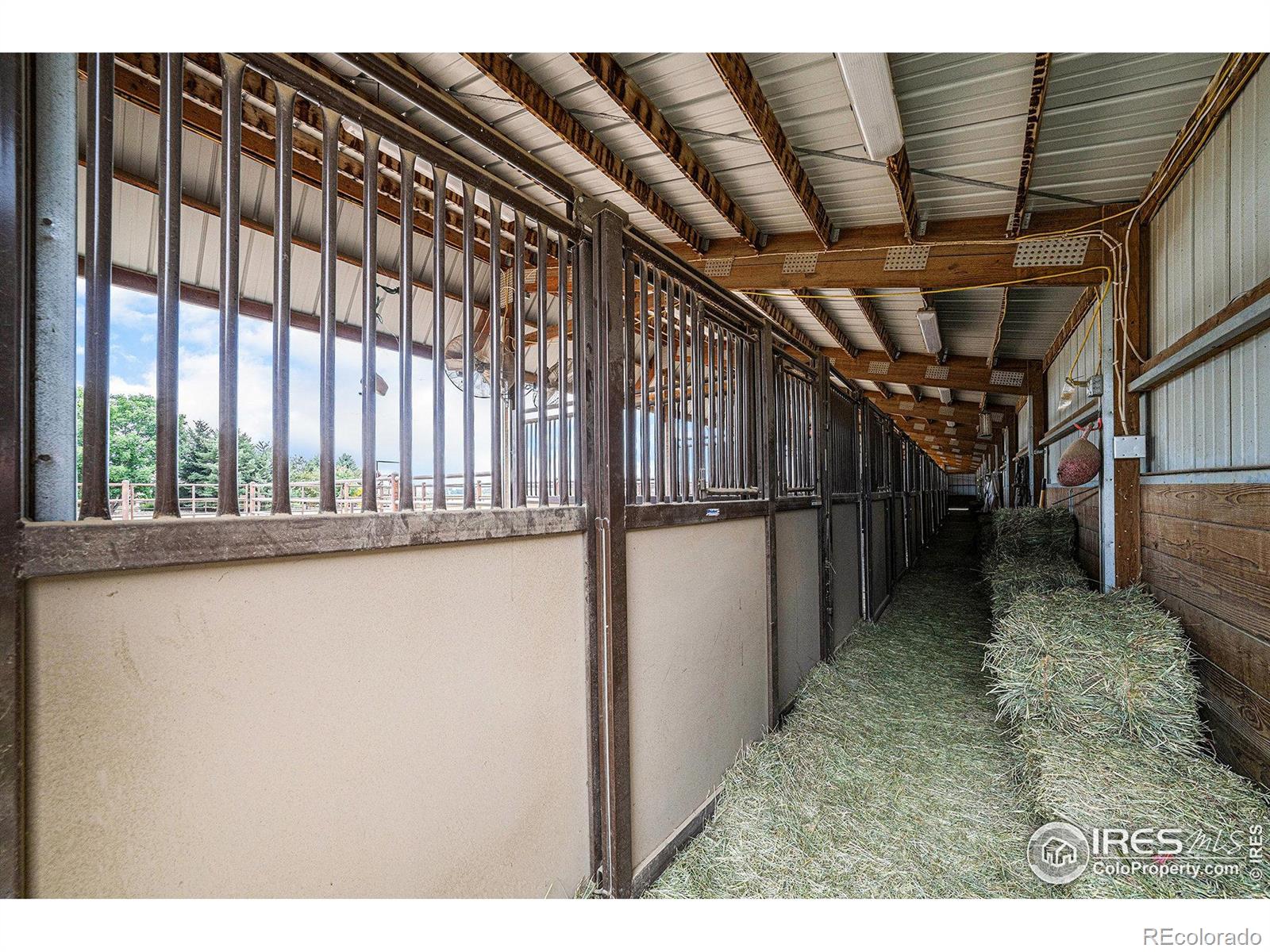 796 Abrams Way Loveland CO 80537