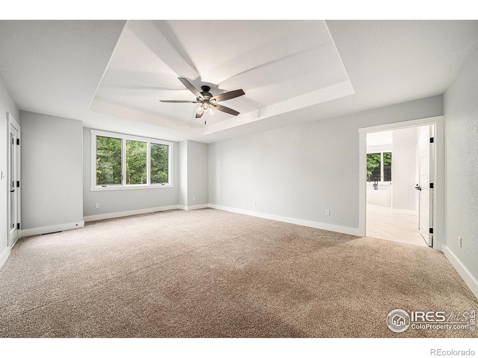 796 Abrams Way Loveland CO 80537