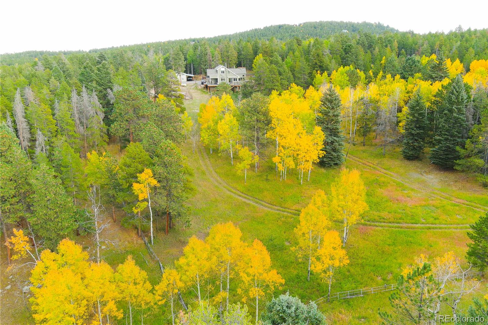 27987 Richmond Hill Road Conifer CO 80433