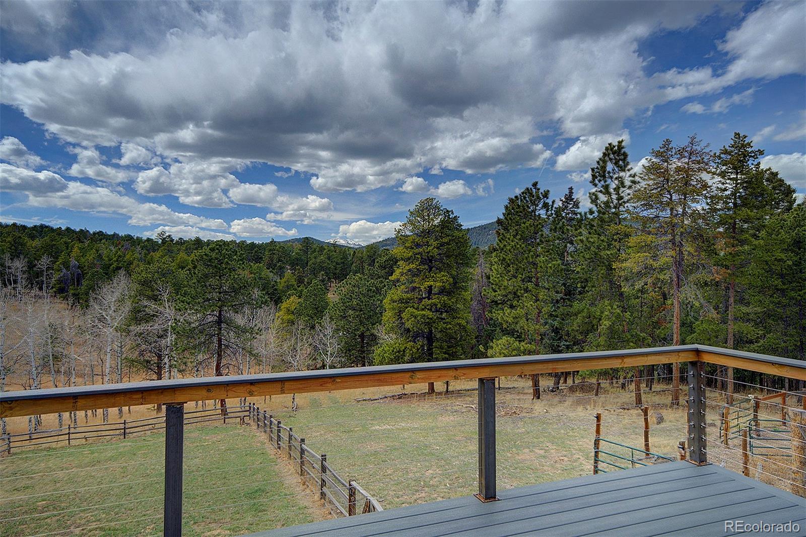 27987 Richmond Hill Road Conifer CO 80433