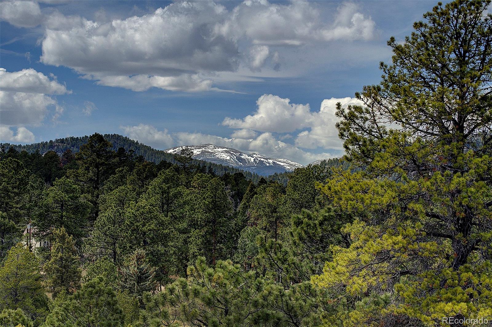 27987 Richmond Hill Road Conifer CO 80433