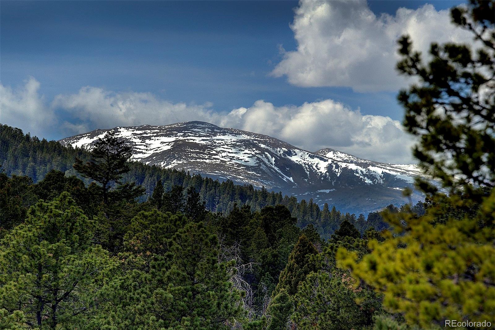 27987 Richmond Hill Road Conifer CO 80433