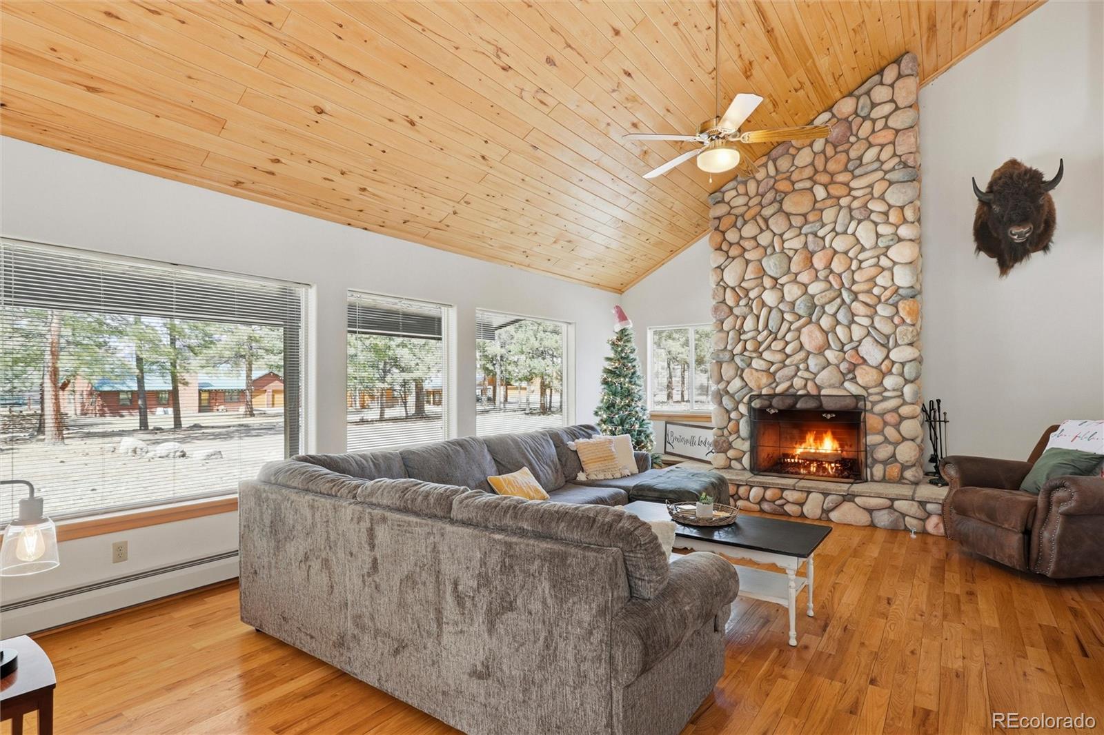100 Spruce Drive South Fork CO 81154