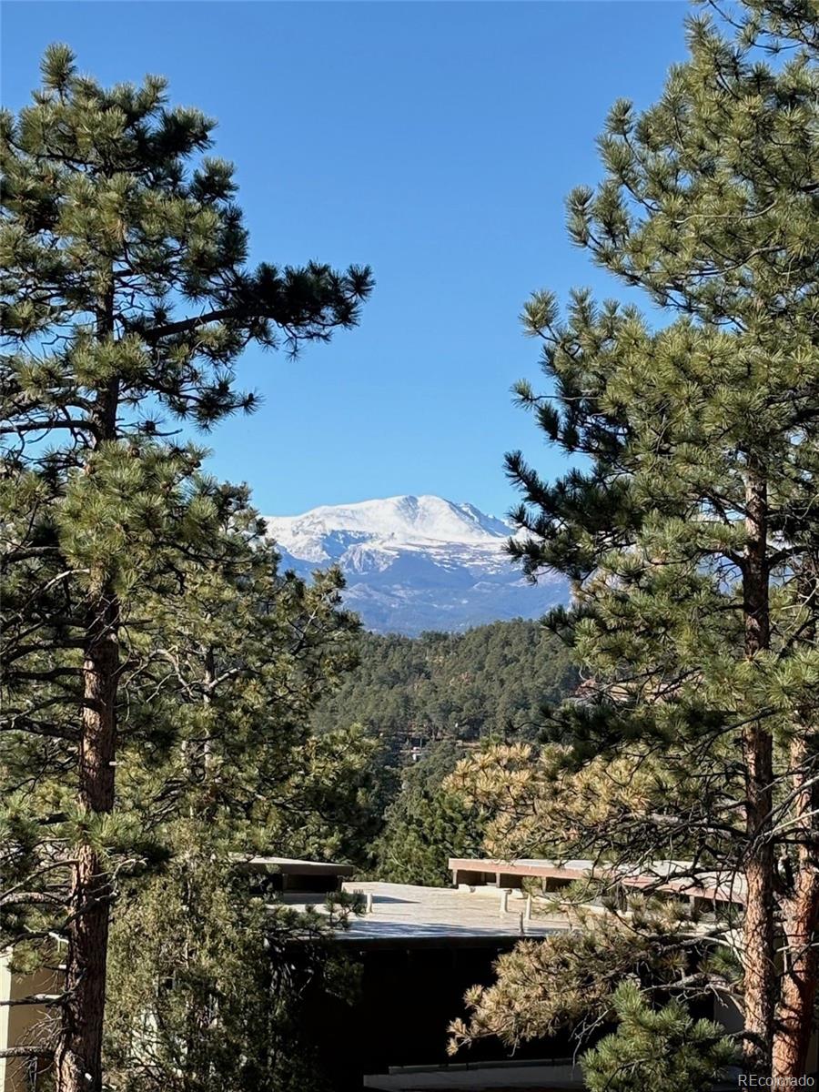 29033 Wild Rose Drive Evergreen CO 80439