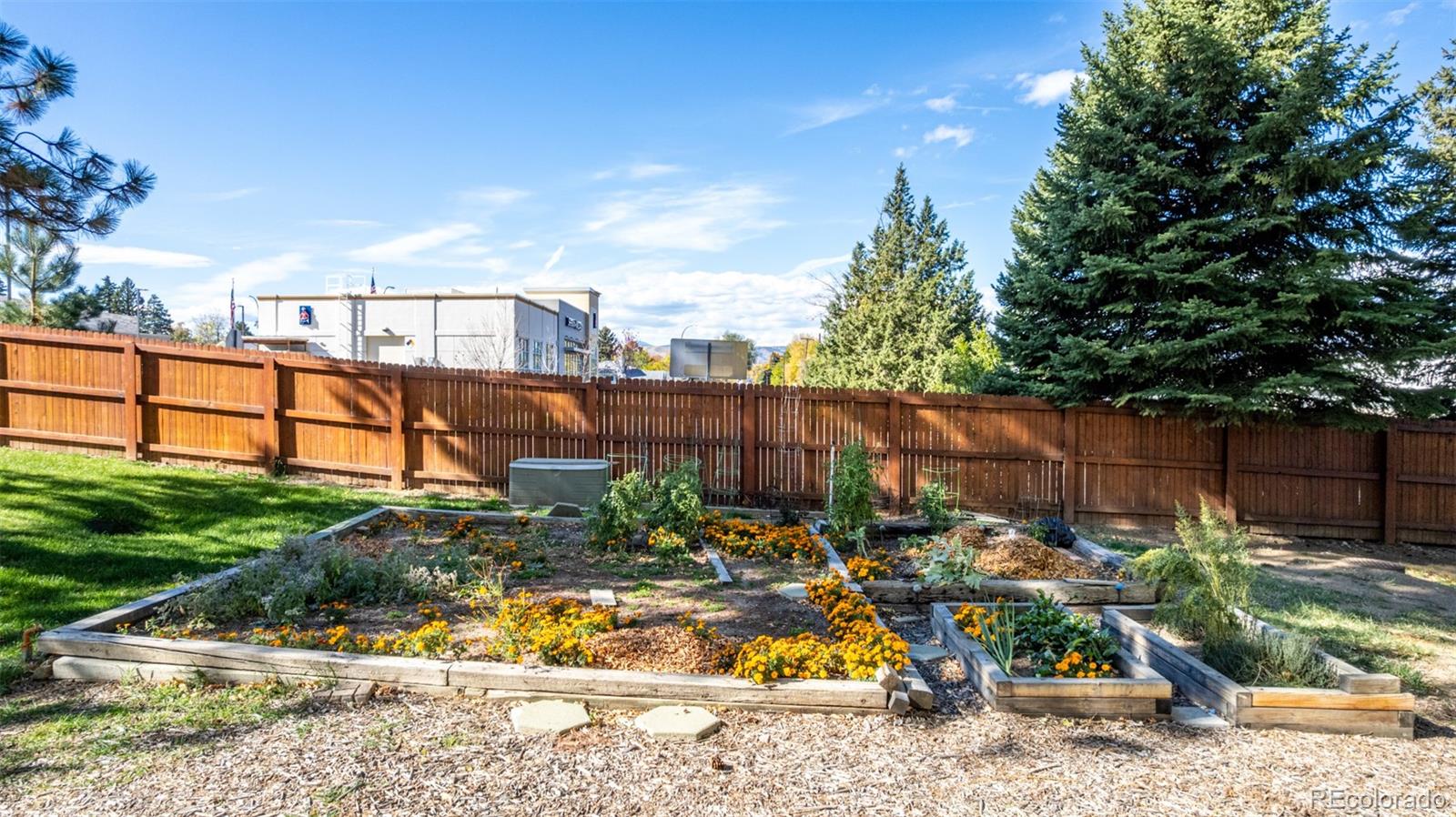 7466 W Cedar Circle Lakewood CO 80226