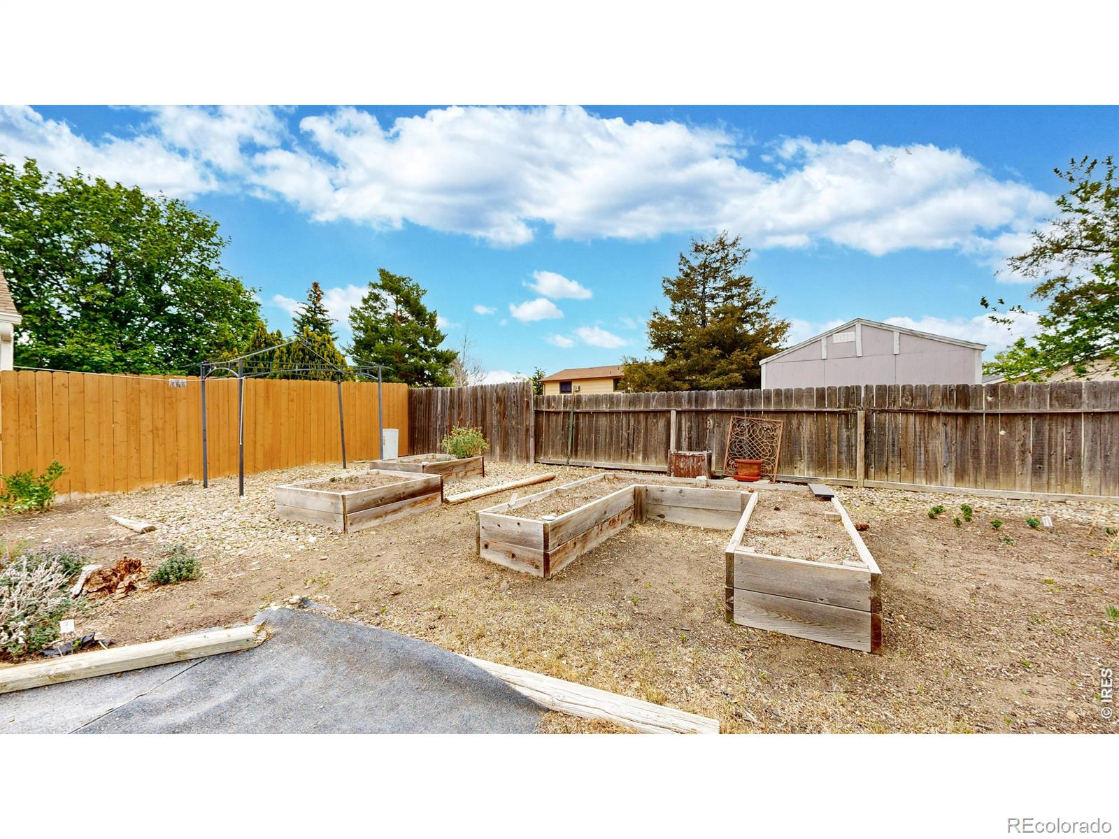 613 Chestnut Drive Loveland CO 80538