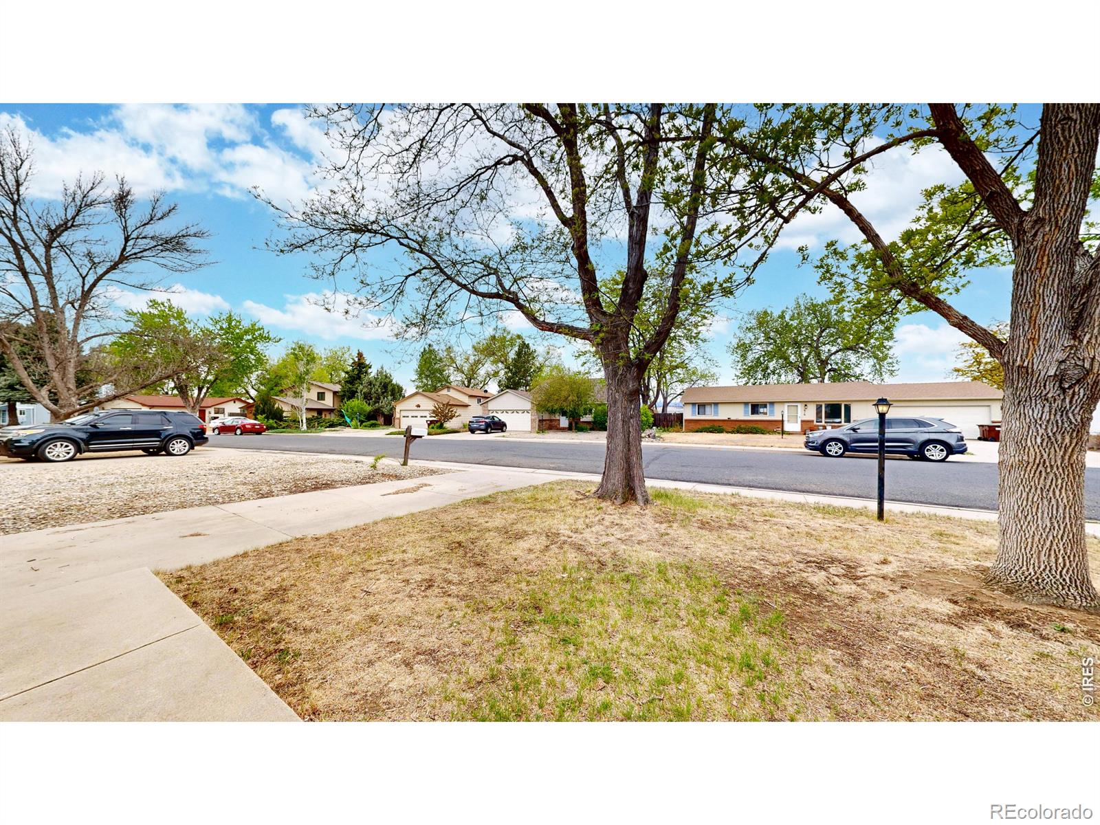 613 Chestnut Drive Loveland CO 80538
