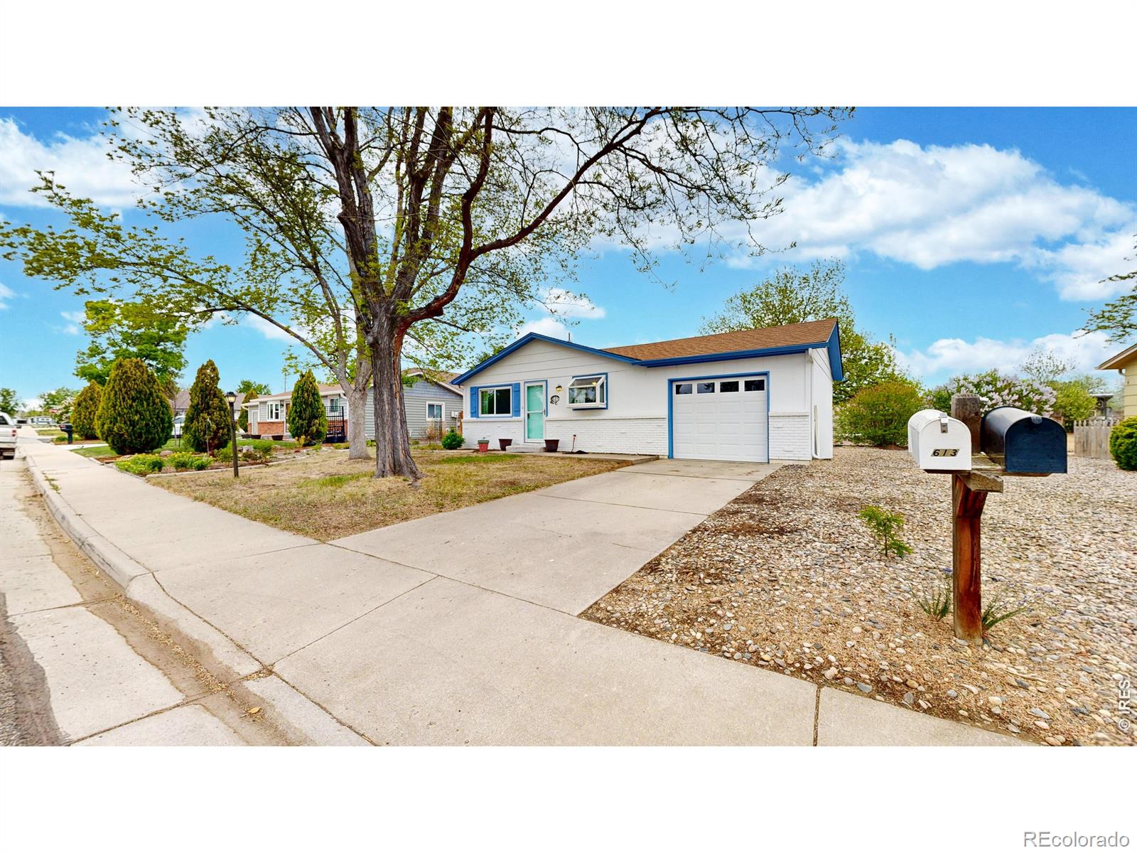 613 Chestnut Drive Loveland CO 80538