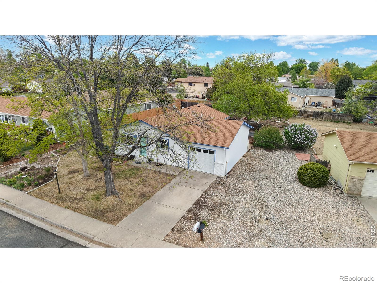 613 Chestnut Drive Loveland CO 80538