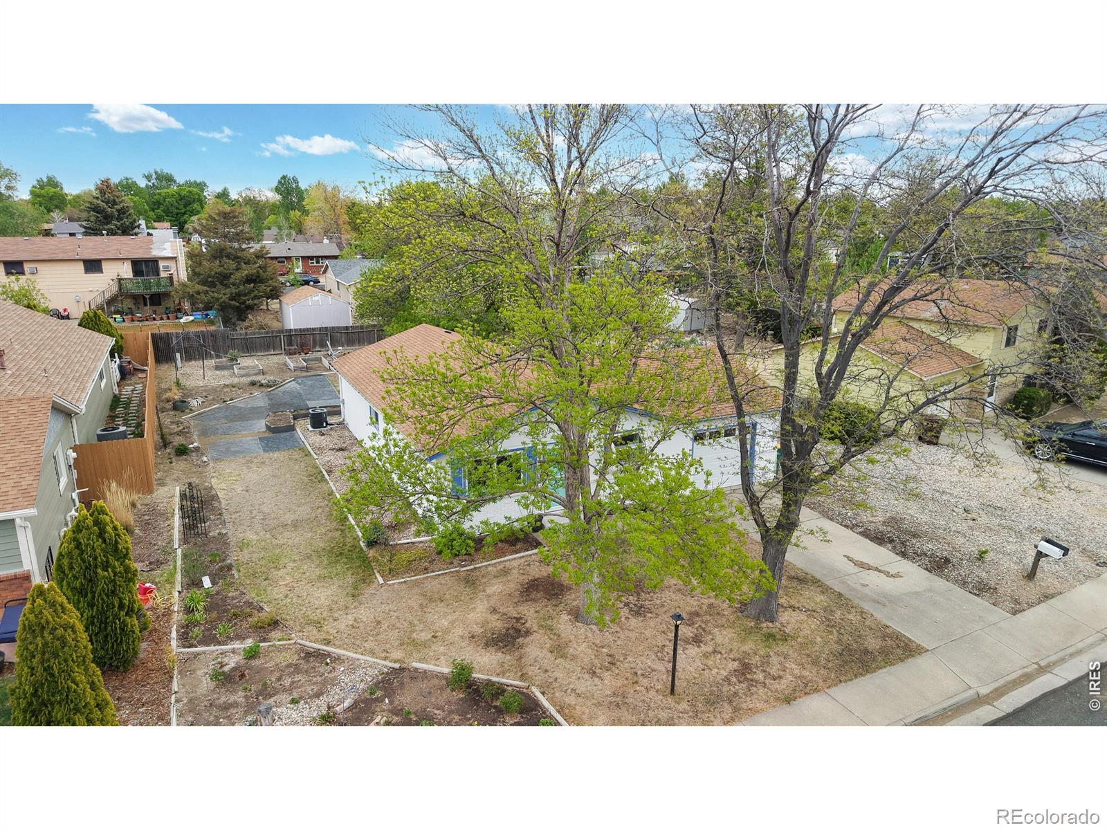 613 Chestnut Drive Loveland CO 80538