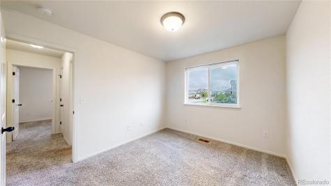 1723 Thrive Drive Windsor CO 80550