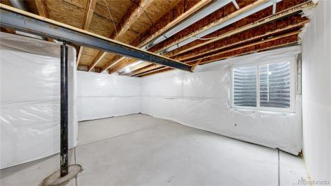 1723 Thrive Drive Windsor CO 80550