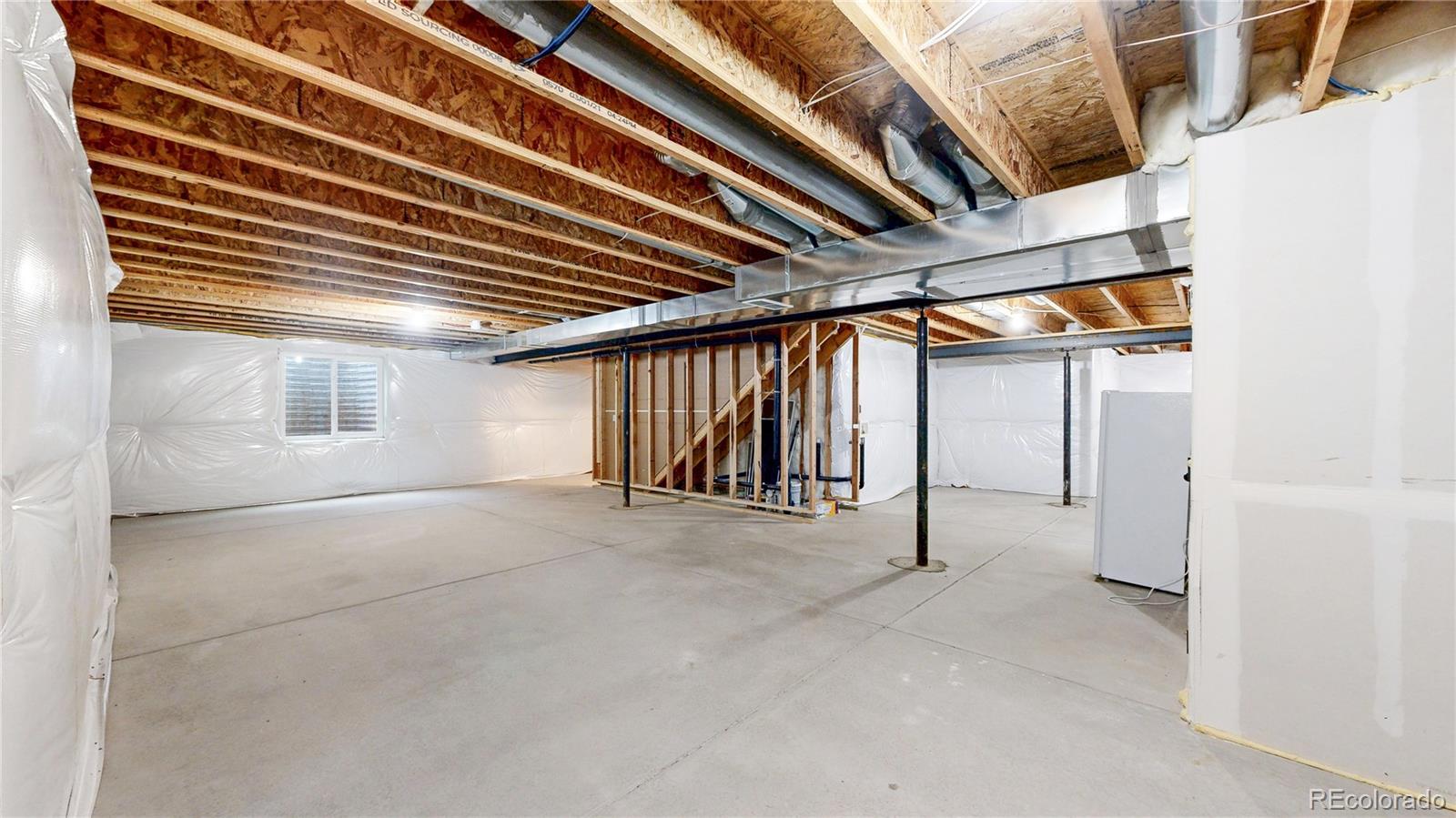 1723 Thrive Drive Windsor CO 80550