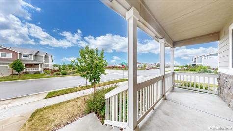 1723 Thrive Drive Windsor CO 80550