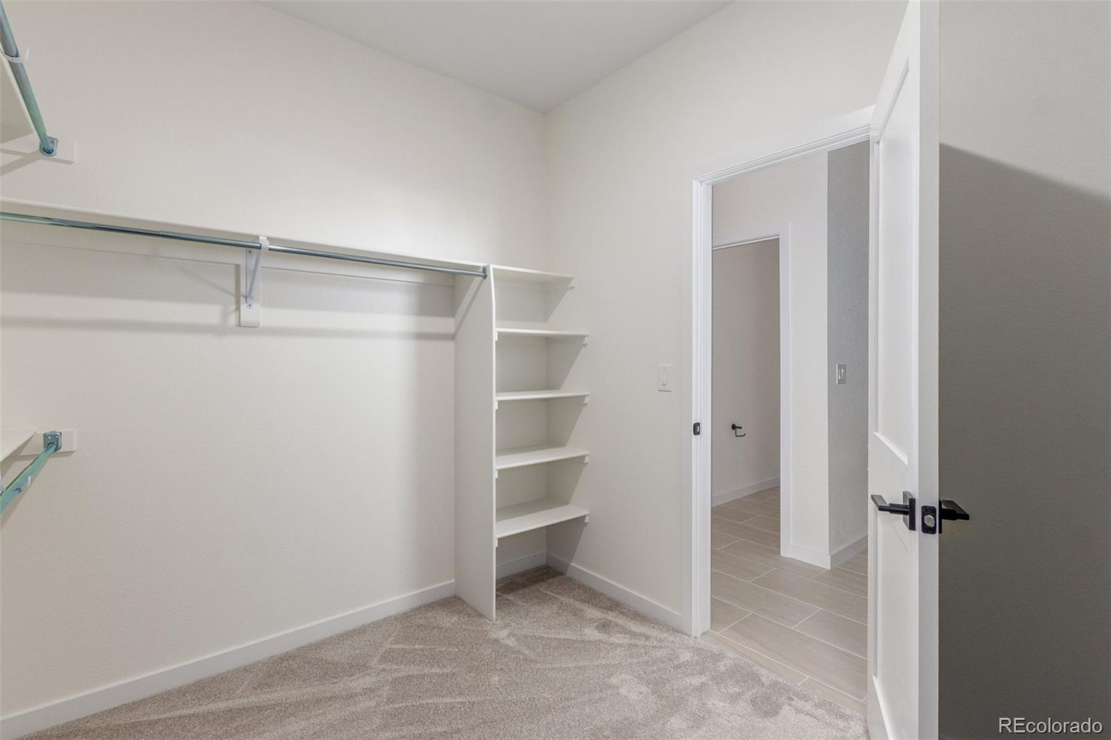 1590 Chestnut Avenue Erie CO 80516