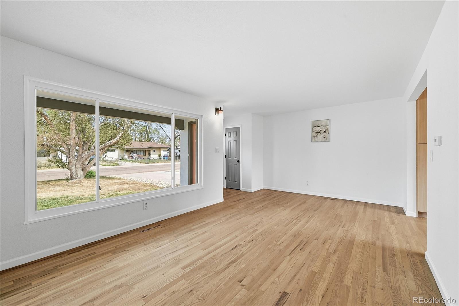 113 Davie Drive Colorado Springs CO 80911