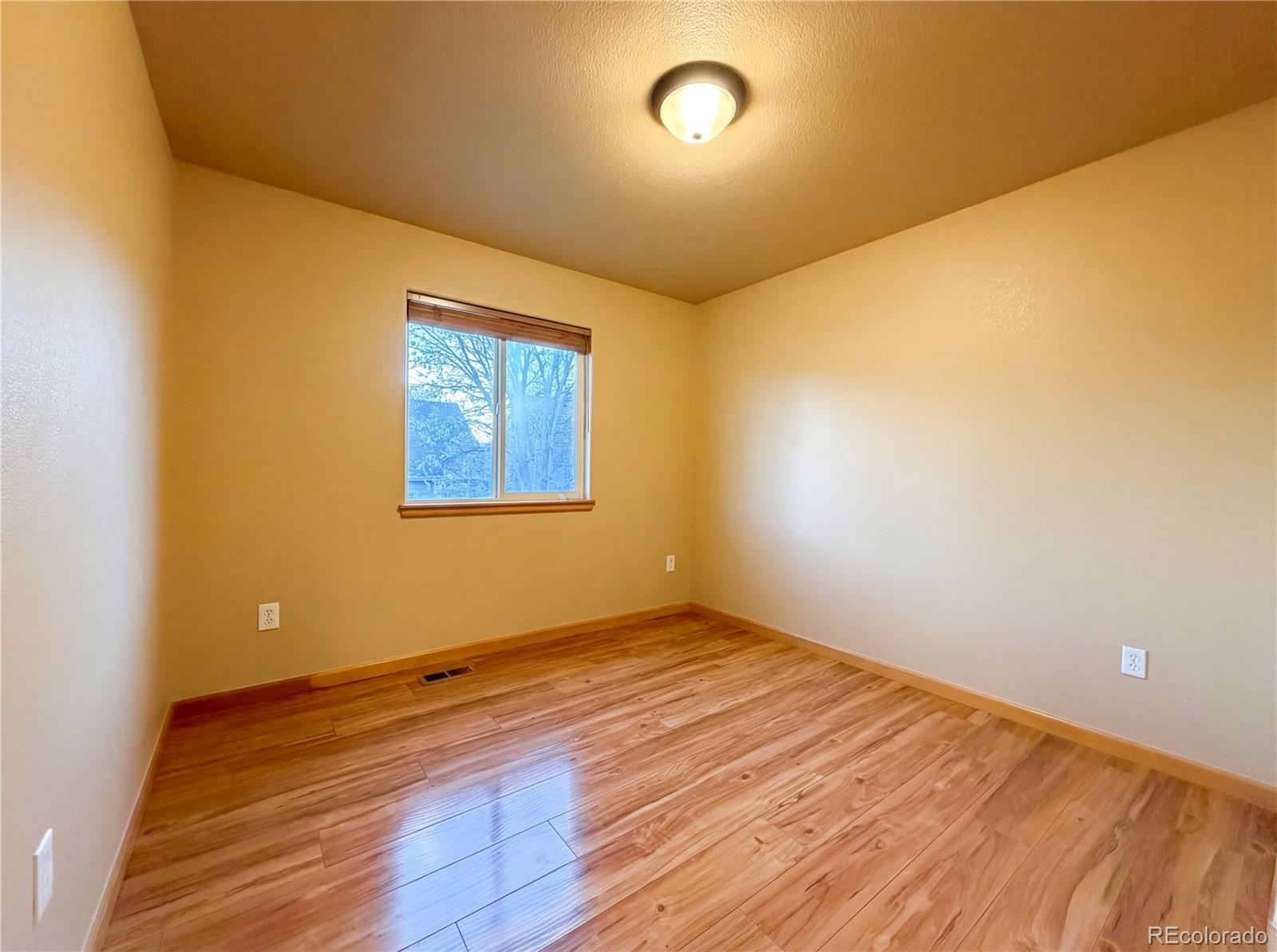 231 Maggie Street Longmont CO 80501