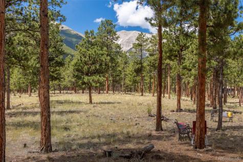 16530 Mount Princeton Road Buena Vista CO 81211