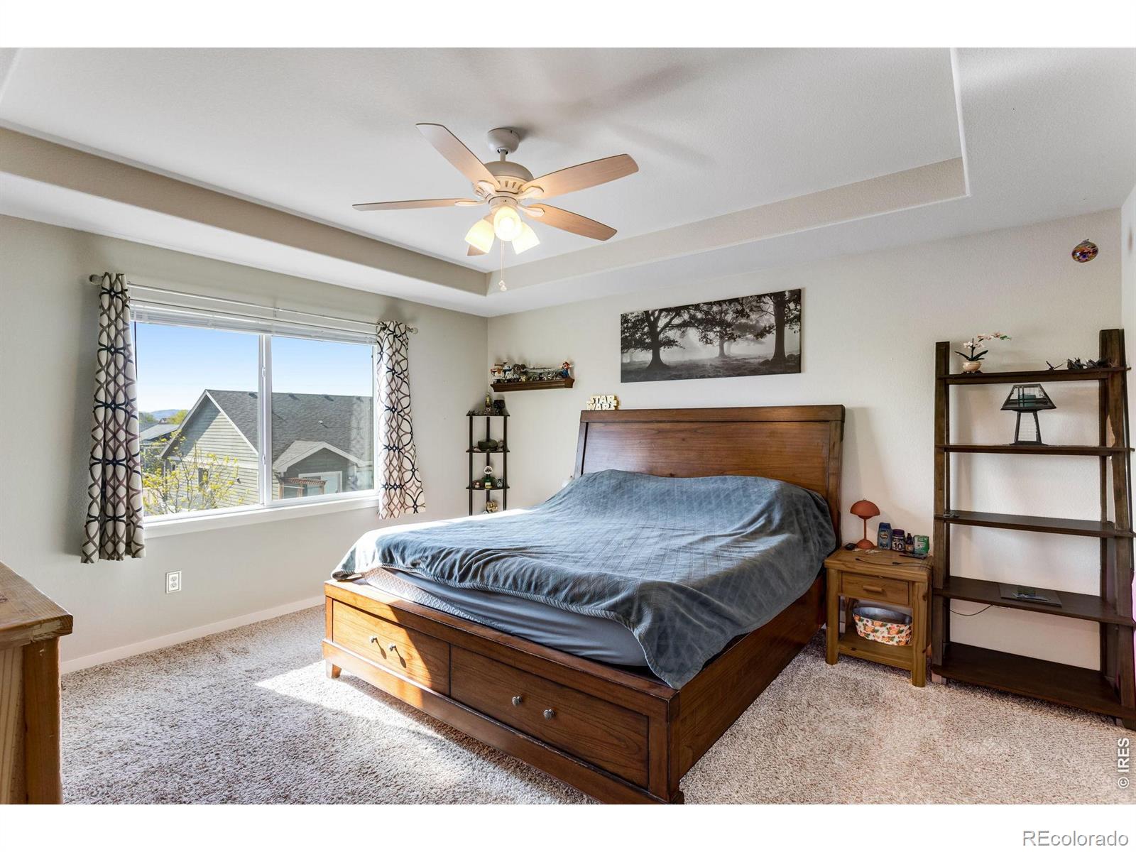 6913 Pettigrew Street Wellington CO 80549