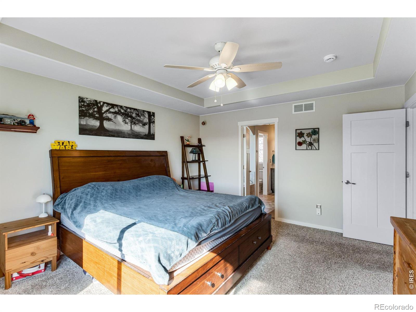 6913 Pettigrew Street Wellington CO 80549