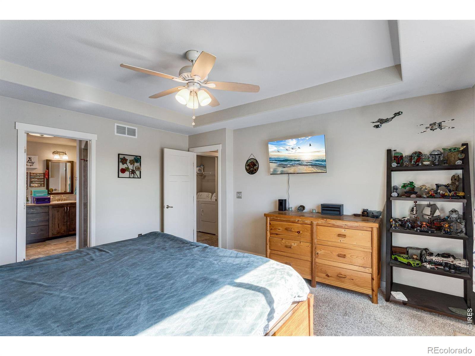 6913 Pettigrew Street Wellington CO 80549
