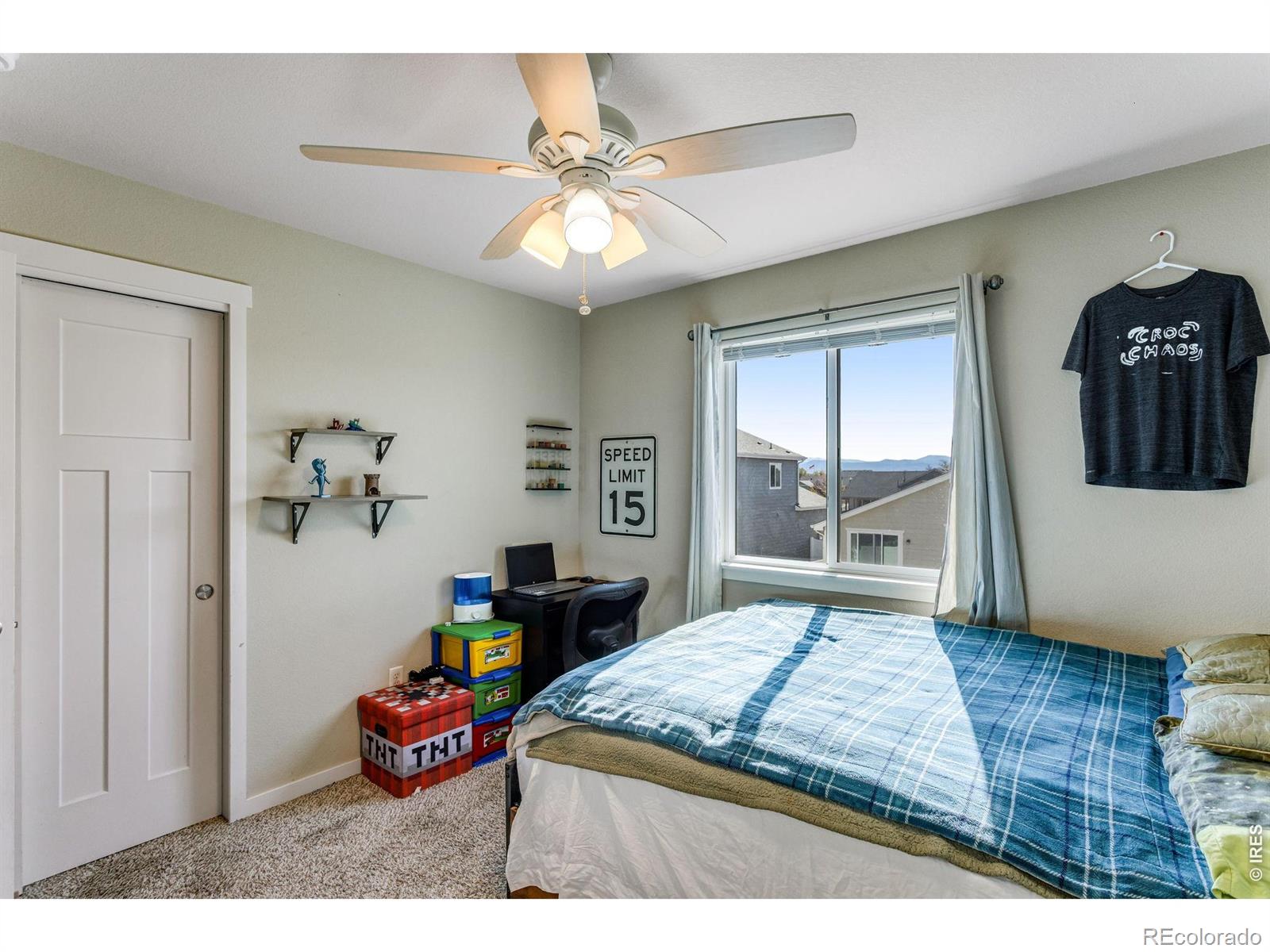 6913 Pettigrew Street Wellington CO 80549
